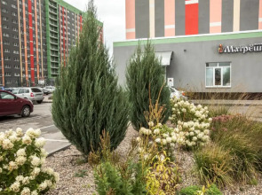 ZebraHome on Moskovsky Prospekt 44