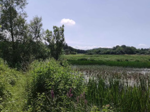 Ruegen Fewo 81
