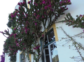 Casa Covão da Abitureira