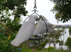 Yarrandabbi Dreaming B&B Apartment and Cottage