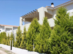 Alkistis Hotel