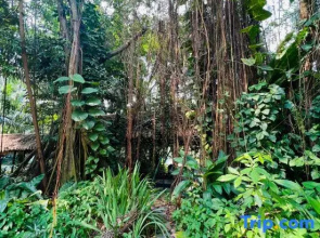 Seaview 2B1R 4pax Condo Forest City 4D-1809
