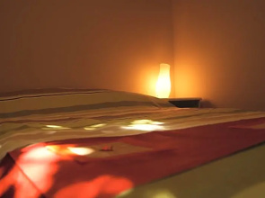 B&B Vegan Inn Airport - Adult Only