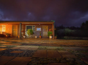 Buganvilla
