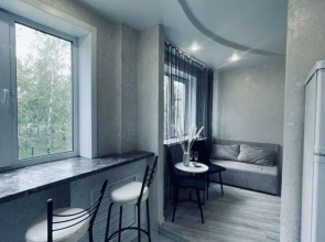 Apartments on Kirova street 10B