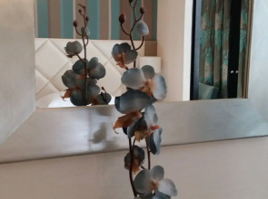 Best Western Anjou Lafayette Opera