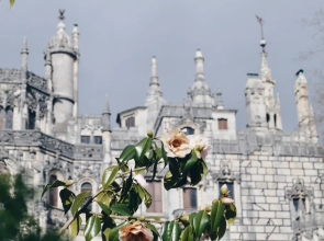 House With one Bedroom in Peniche, With Wonderful sea View and Wifi - 100 m From the Beach