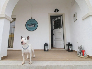 Mr Ziggy's Surfhouse - Hostel