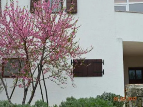 House of Veli Joze
