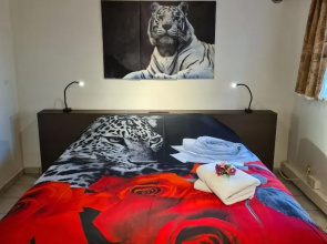 Homestay Gent