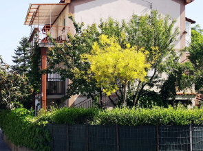 Arcobaleno isolano