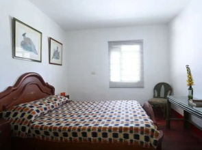 Hostal Las Camelias Salento - Hostel