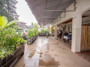 Mucha Bistro and Guesthouse
