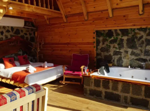 Dogallife Suit Bungalov