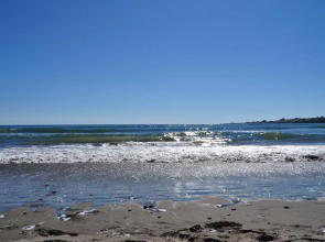 Richmond Highland Farm