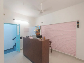 Daffodils by La Maison Charu