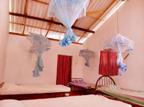 Yoho Mango Tree Home Stay & Hostel
