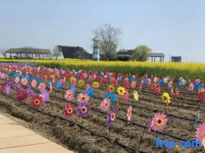 Taihu Sea of Flowers Vacation Apartment