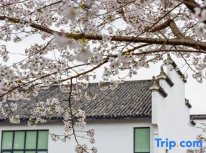 Mount Huangshan Wonderland Hotel