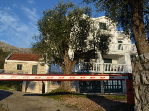 Apartments TMV Dragovic