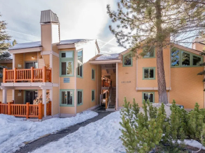 Mammoth Creek #52