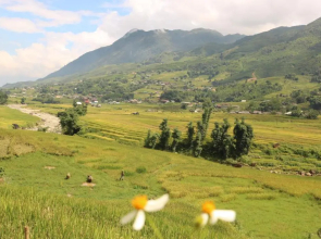 SaPa Farmer House