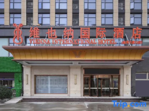 Vienna International Hotel (Chizhou Dadukou)