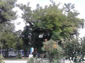 House Danica Apartments & Rooms