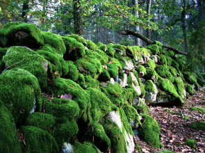 Kvarnen i Knällsberg