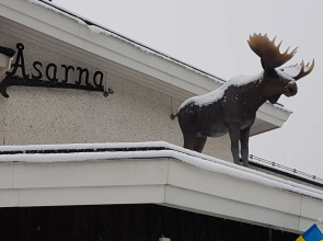 Big Moose Hotel