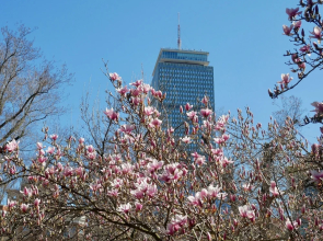 Boston Luxury Suites
