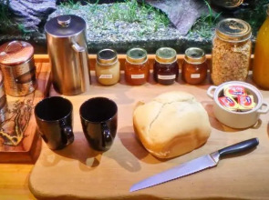 Tree House Lodge Bed & Breakfast