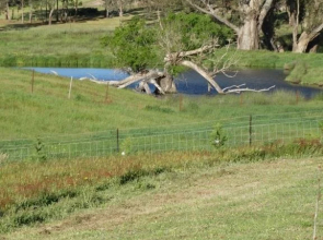 Windermere Homestead