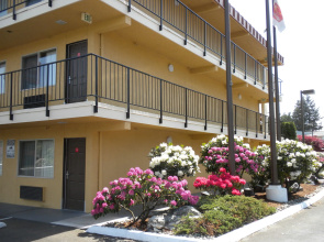 MorningGlory Inn & Suites