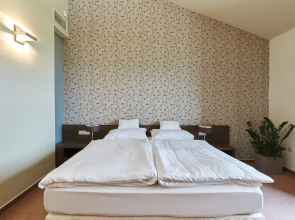 Villa Patzay Borhotel
