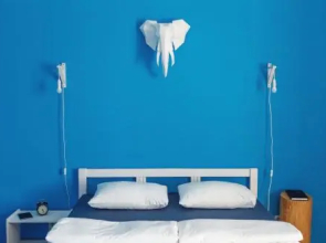 Moloko Lodging Houses