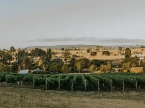 3 Willows Vineyard Cottage