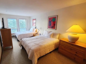 Northwoods Condo Private Ski-In Ski-Out Access to Vail Mountain by RedAwning