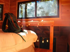 Cabanas Bosque Milenario