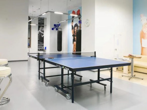 Отель Ark Palace