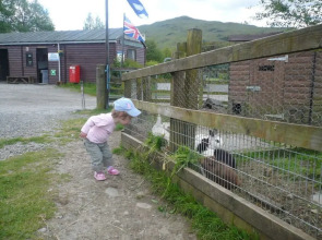 Strathfillan Wigwams 6