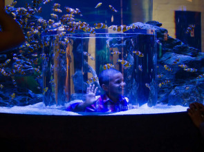 Fountains Hotel Cape Town