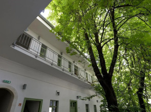 The Hive Party Hostel