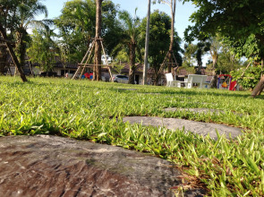 Chiangrai Green Park Resort