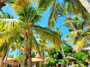Coco Cabañas & Casitas Vacation Rentals