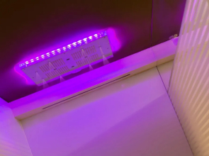 Pinonero Home Holidays & SPA