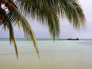 Tarzans Beach Resort