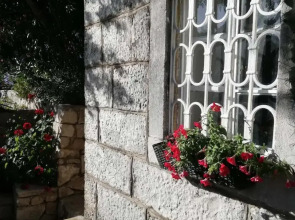 Apartment Vista Viganj