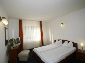 Hotel Paltinis