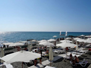 Бристоль (Адлер)